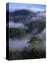 Canopy of Virgin Dipterocarp Rainforest, Danum Valley Conservation Area, Sabah, Island of Borneo-Lousie Murray-Stretched Canvas