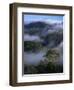 Canopy of Virgin Dipterocarp Rainforest, Danum Valley Conservation Area, Sabah, Island of Borneo-Lousie Murray-Framed Photographic Print