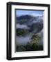 Canopy of Virgin Dipterocarp Rainforest, Danum Valley Conservation Area, Sabah, Island of Borneo-Lousie Murray-Framed Photographic Print