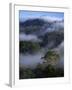 Canopy of Virgin Dipterocarp Rainforest, Danum Valley Conservation Area, Sabah, Island of Borneo-Lousie Murray-Framed Photographic Print