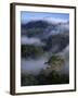 Canopy of Virgin Dipterocarp Rainforest, Danum Valley Conservation Area, Sabah, Island of Borneo-Lousie Murray-Framed Photographic Print