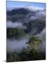 Canopy of Virgin Dipterocarp Rainforest, Danum Valley Conservation Area, Sabah, Island of Borneo-Lousie Murray-Mounted Photographic Print