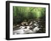 Canopy over Big Creek, Great Smoky Mountains National Park, North Carolina, USA-Adam Jones-Framed Premium Photographic Print