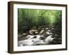 Canopy over Big Creek, Great Smoky Mountains National Park, North Carolina, USA-Adam Jones-Framed Photographic Print