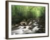 Canopy over Big Creek, Great Smoky Mountains National Park, North Carolina, USA-Adam Jones-Framed Photographic Print