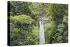 Canopy Walk, Southern Ridges, Singapore, Southeast Asia, Asia-Christian Kober-Stretched Canvas