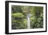 Canopy Walk, Southern Ridges, Singapore, Southeast Asia, Asia-Christian Kober-Framed Photographic Print