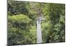 Canopy Walk, Southern Ridges, Singapore, Southeast Asia, Asia-Christian Kober-Mounted Photographic Print