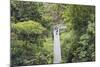 Canopy Walk, Southern Ridges, Singapore, Southeast Asia, Asia-Christian Kober-Mounted Photographic Print