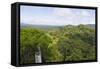 Canopy Walk, Ula Temburong National Park, Brunei, Borneo, Southeast Asia-Christian-Framed Stretched Canvas