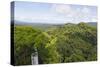 Canopy Walk, Ula Temburong National Park, Brunei, Borneo, Southeast Asia-Christian-Stretched Canvas