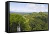 Canopy Walk, Ula Temburong National Park, Brunei, Borneo, Southeast Asia-Christian-Framed Stretched Canvas