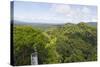 Canopy Walk, Ula Temburong National Park, Brunei, Borneo, Southeast Asia-Christian-Stretched Canvas