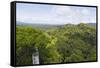 Canopy Walk, Ula Temburong National Park, Brunei, Borneo, Southeast Asia-Christian-Framed Stretched Canvas