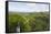 Canopy Walk, Ula Temburong National Park, Brunei, Borneo, Southeast Asia-Christian-Framed Stretched Canvas