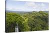 Canopy Walk, Ula Temburong National Park, Brunei, Borneo, Southeast Asia-Christian-Stretched Canvas