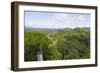 Canopy Walk, Ula Temburong National Park, Brunei, Borneo, Southeast Asia-Christian-Framed Photographic Print