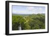 Canopy Walk, Ula Temburong National Park, Brunei, Borneo, Southeast Asia-Christian-Framed Photographic Print