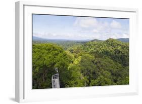 Canopy Walk, Ula Temburong National Park, Brunei, Borneo, Southeast Asia-Christian-Framed Photographic Print