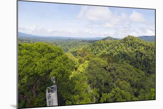Canopy Walk, Ula Temburong National Park, Brunei, Borneo, Southeast Asia-Christian-Mounted Photographic Print