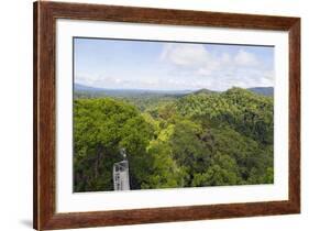 Canopy Walk, Ula Temburong National Park, Brunei, Borneo, Southeast Asia-Christian-Framed Photographic Print