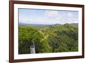 Canopy Walk, Ula Temburong National Park, Brunei, Borneo, Southeast Asia-Christian-Framed Photographic Print