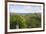 Canopy Walk, Ula Temburong National Park, Brunei, Borneo, Southeast Asia-Christian-Framed Photographic Print