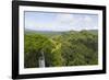 Canopy Walk, Ula Temburong National Park, Brunei, Borneo, Southeast Asia-Christian-Framed Photographic Print