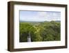 Canopy Walk, Ula Temburong National Park, Brunei, Borneo, Southeast Asia-Christian-Framed Photographic Print