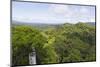 Canopy Walk, Ula Temburong National Park, Brunei, Borneo, Southeast Asia-Christian-Mounted Photographic Print