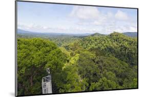 Canopy Walk, Ula Temburong National Park, Brunei, Borneo, Southeast Asia-Christian-Mounted Photographic Print