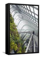 Canopy Walkway, Gardens by the Bay, Cloud Forest, Botanic Garden, Singapore, Southeast Asia, Asia-Christian Kober-Framed Stretched Canvas