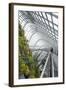 Canopy Walkway, Gardens by the Bay, Cloud Forest, Botanic Garden, Singapore, Southeast Asia, Asia-Christian Kober-Framed Photographic Print