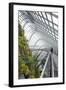 Canopy Walkway, Gardens by the Bay, Cloud Forest, Botanic Garden, Singapore, Southeast Asia, Asia-Christian Kober-Framed Photographic Print