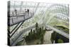 Canopy Walkway, Gardens by the Bay, Cloud Forest, Botanic Garden, Singapore, Southeast Asia, Asia-Christian Kober-Stretched Canvas