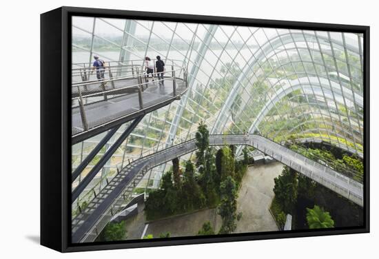 Canopy Walkway, Gardens by the Bay, Cloud Forest, Botanic Garden, Singapore, Southeast Asia, Asia-Christian Kober-Framed Stretched Canvas