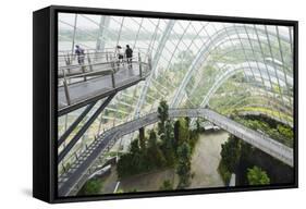 Canopy Walkway, Gardens by the Bay, Cloud Forest, Botanic Garden, Singapore, Southeast Asia, Asia-Christian Kober-Framed Stretched Canvas