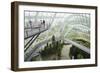 Canopy Walkway, Gardens by the Bay, Cloud Forest, Botanic Garden, Singapore, Southeast Asia, Asia-Christian Kober-Framed Photographic Print