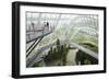 Canopy Walkway, Gardens by the Bay, Cloud Forest, Botanic Garden, Singapore, Southeast Asia, Asia-Christian Kober-Framed Photographic Print