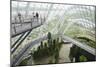 Canopy Walkway, Gardens by the Bay, Cloud Forest, Botanic Garden, Singapore, Southeast Asia, Asia-Christian Kober-Mounted Photographic Print