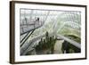 Canopy Walkway, Gardens by the Bay, Cloud Forest, Botanic Garden, Singapore, Southeast Asia, Asia-Christian Kober-Framed Photographic Print