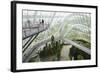 Canopy Walkway, Gardens by the Bay, Cloud Forest, Botanic Garden, Singapore, Southeast Asia, Asia-Christian Kober-Framed Photographic Print