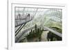 Canopy Walkway, Gardens by the Bay, Cloud Forest, Botanic Garden, Singapore, Southeast Asia, Asia-Christian Kober-Framed Photographic Print