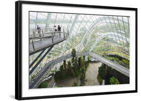 Canopy Walkway, Gardens by the Bay, Cloud Forest, Botanic Garden, Singapore, Southeast Asia, Asia-Christian Kober-Framed Photographic Print