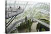 Canopy Walkway, Gardens by the Bay, Cloud Forest, Botanic Garden, Singapore, Southeast Asia, Asia-Christian Kober-Stretched Canvas