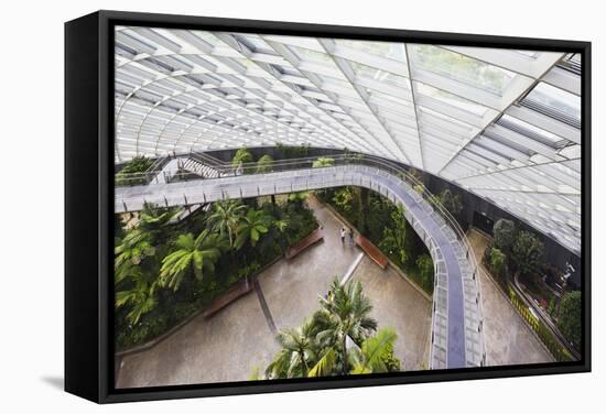 Canopy Walkway, Gardens by the Bay, Cloud Forest,Botanic Garden, Singapore, Southeast Asia, Asia-Christian Kober-Framed Stretched Canvas