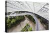Canopy Walkway, Gardens by the Bay, Cloud Forest,Botanic Garden, Singapore, Southeast Asia, Asia-Christian Kober-Stretched Canvas