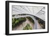 Canopy Walkway, Gardens by the Bay, Cloud Forest,Botanic Garden, Singapore, Southeast Asia, Asia-Christian Kober-Framed Photographic Print