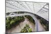 Canopy Walkway, Gardens by the Bay, Cloud Forest,Botanic Garden, Singapore, Southeast Asia, Asia-Christian Kober-Mounted Photographic Print