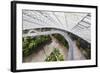 Canopy Walkway, Gardens by the Bay, Cloud Forest,Botanic Garden, Singapore, Southeast Asia, Asia-Christian Kober-Framed Photographic Print